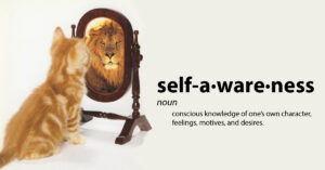 self-awareness-kitten-looking-in-the-mirror